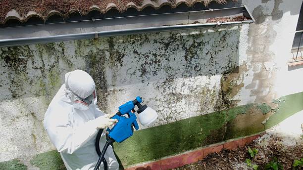 Top rated local Basement Mold Remediation specialists in New Oxford, PA